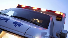 Boat capsizes on Fox River near Elgin, 2 rescued